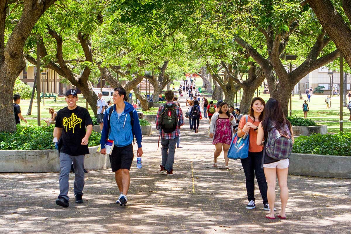 mccarthy mall with students at uhm campus